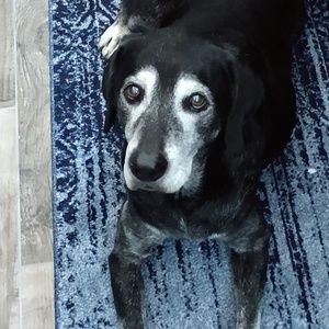 Meet your Posher, Lynne